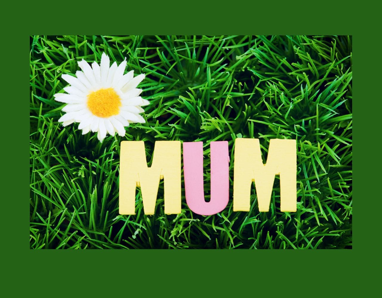 how-to-host-a-prince-and-princess-party-miow-and-molly