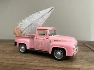 Pink Truck