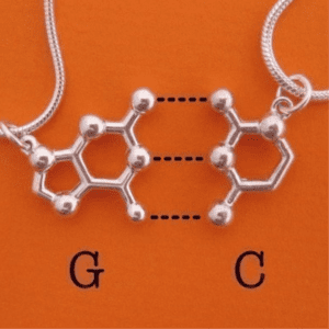 DNA and RNA base pairs