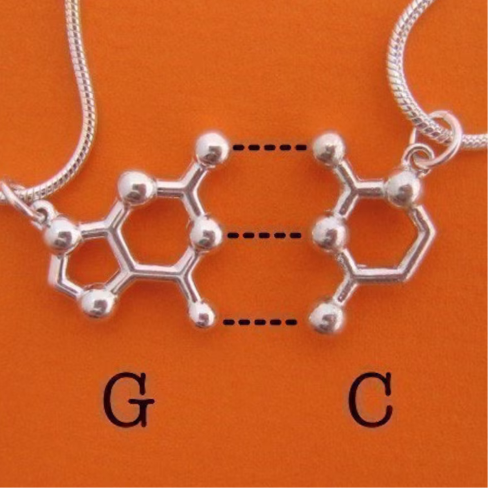 DNA and RNA base pairs