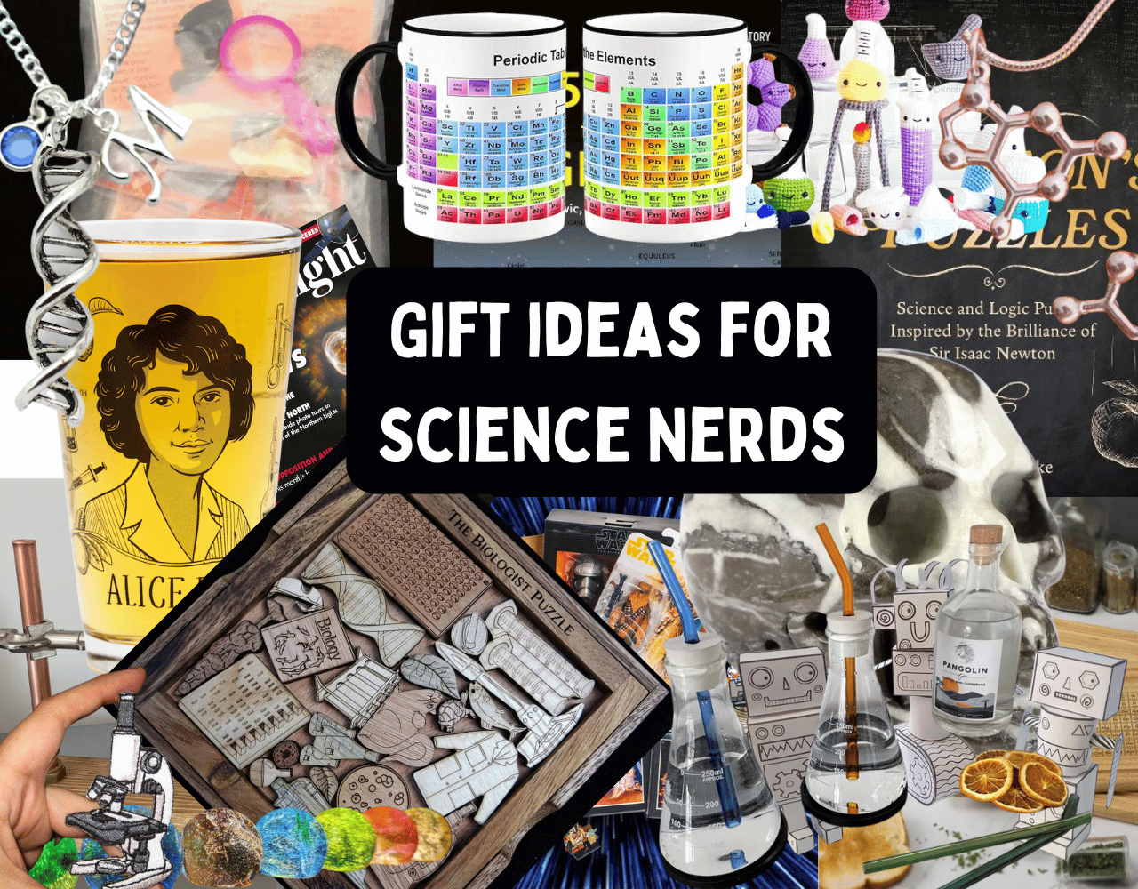 unique gift ideas for science nerds