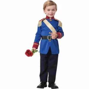 a cute prince outfit for a boy