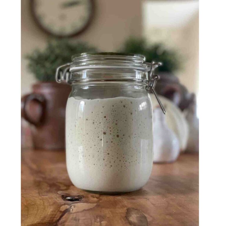 sourdough making kit