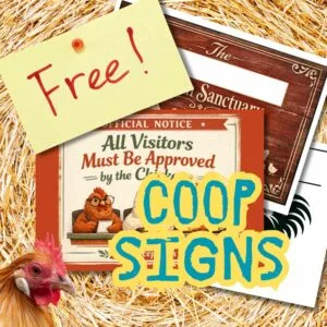 free signs for a chicken coop