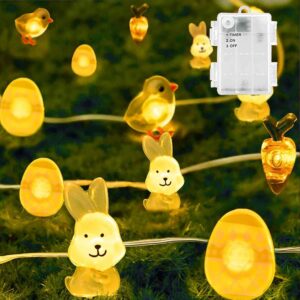 egg shaped led lights