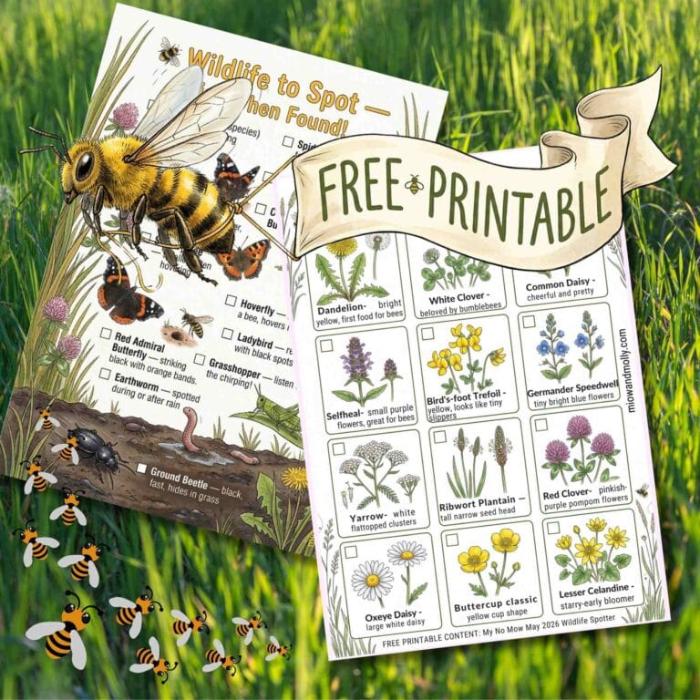 free printable sheets of what to spot in a British garden
