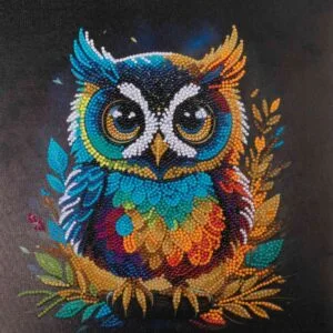 Crystal art owl set