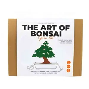 mini bonsai garden kit