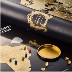 map of the world with pins