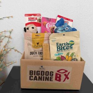 monthy dog treat box