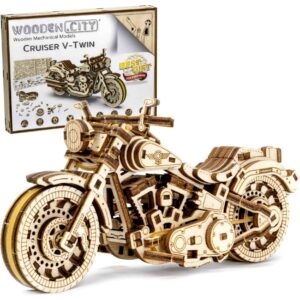 motorbike puzzle
