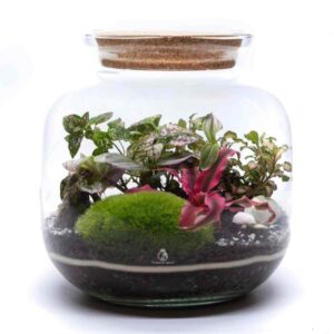 garden in a bottle
