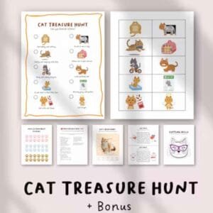 indoor cat treasure hunt